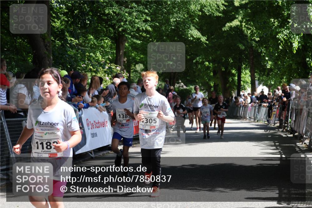 17.05.2025 - Störlauf Strokosch-Dieckow http://msf.ph/oto/7850837 17.05.2025 14:49:40 Ziel 2025, 118, 138, 1305, 1082, 590 meine-sportfotos.de