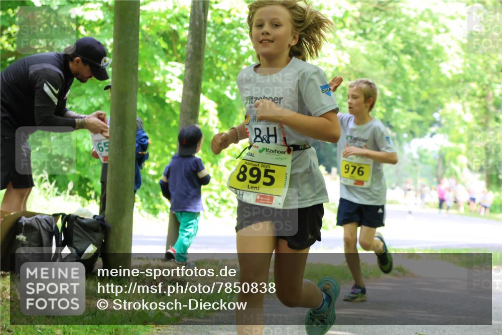 17.05.2025 - Störlauf Strokosch-Dieckow http://msf.ph/oto/7850838 17.05.2025 14:09:28 Laufen 65, 2025, 895, 976 meine-sportfotos.de