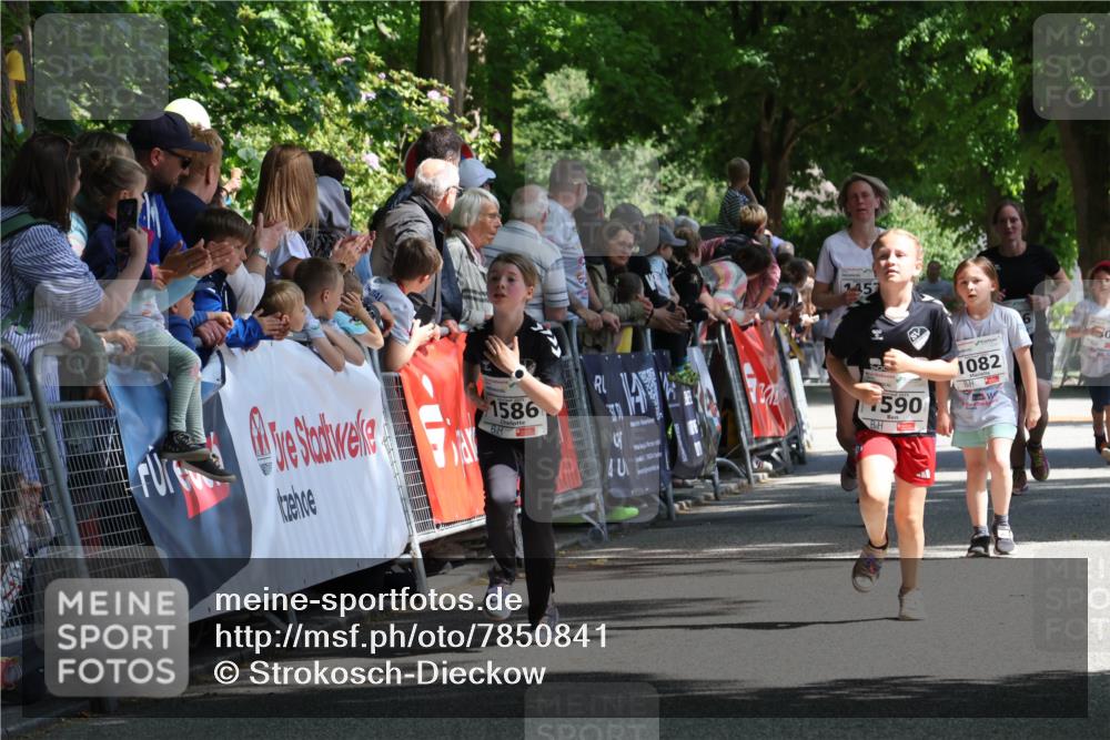 17.05.2025 - Störlauf Strokosch-Dieckow http://msf.ph/oto/7850841 17.05.2025 14:49:42 Ziel 1457, 1586, 7590, 1082 meine-sportfotos.de