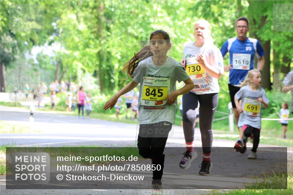 17.05.2025 - Störlauf Strokosch-Dieckow http://msf.ph/oto/7850850 17.05.2025 14:09:33 Laufen 2025, 845, 730, 1610, 691 meine-sportfotos.de