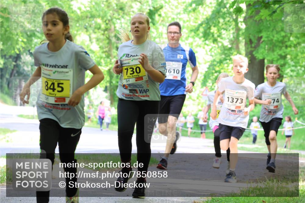 17.05.2025 - Störlauf Strokosch-Dieckow http://msf.ph/oto/7850858 17.05.2025 14:09:34 Laufen 2025, 845, 2025, 730, 1610, 1373, 74 meine-sportfotos.de