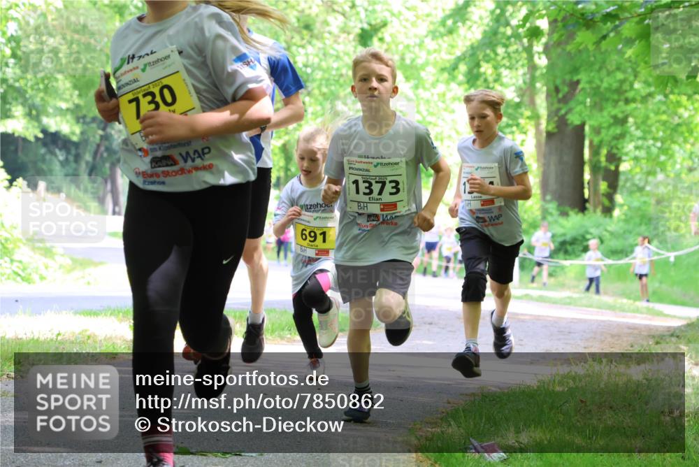 17.05.2025 - Störlauf Strokosch-Dieckow http://msf.ph/oto/7850862 17.05.2025 14:09:36 Laufen 2025, 730, 2, 691, 2025, 1373 meine-sportfotos.de
