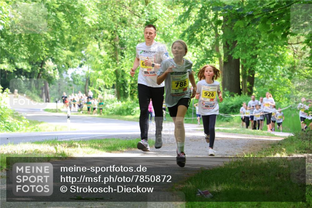 17.05.2025 - Störlauf Strokosch-Dieckow http://msf.ph/oto/7850872 17.05.2025 14:09:44 Laufen 63, 788, 926 meine-sportfotos.de