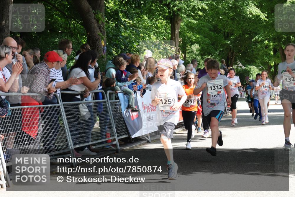 17.05.2025 - Störlauf Strokosch-Dieckow http://msf.ph/oto/7850874 17.05.2025 14:50:16 Ziel 1259, 291, 1312, 98, 184, 132 meine-sportfotos.de