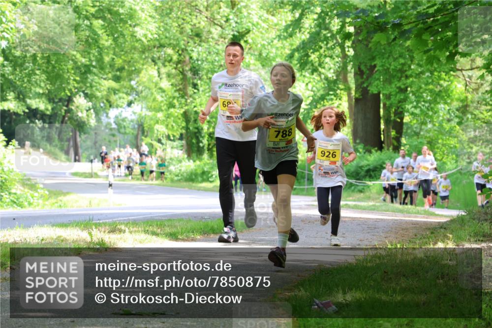 17.05.2025 - Störlauf Strokosch-Dieckow http://msf.ph/oto/7850875 17.05.2025 14:09:44 Laufen 62, 788, 926 meine-sportfotos.de