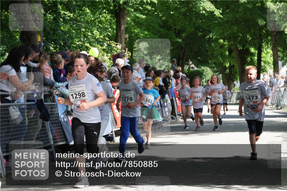 17.05.2025 - Störlauf Strokosch-Dieckow http://msf.ph/oto/7850885 17.05.2025 14:50:20 Ziel 1298, 1278, 1491, 1302, 1243, 1236, 1473 meine-sportfotos.de