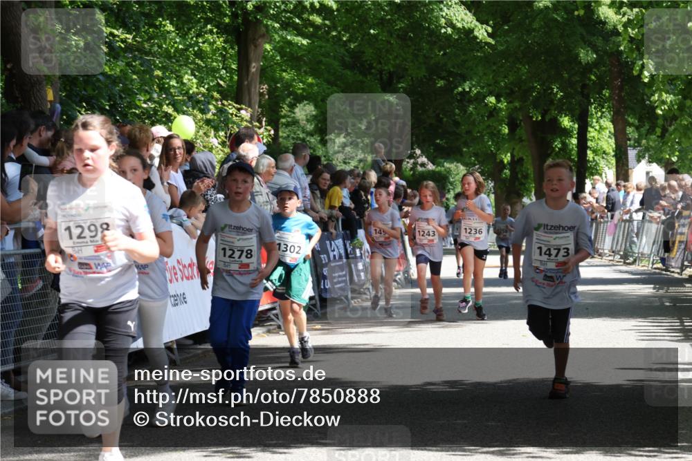 17.05.2025 - Störlauf Strokosch-Dieckow http://msf.ph/oto/7850888 17.05.2025 14:50:20 Ziel 1298, 1302, 1278, 1236, 4258, 145, 1243, 1473 meine-sportfotos.de