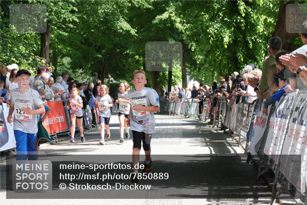 17.05.2025 - Störlauf Strokosch-Dieckow http://msf.ph/oto/7850889 17.05.2025 14:50:21 Ziel 127, 149, 124, 1236 meine-sportfotos.de