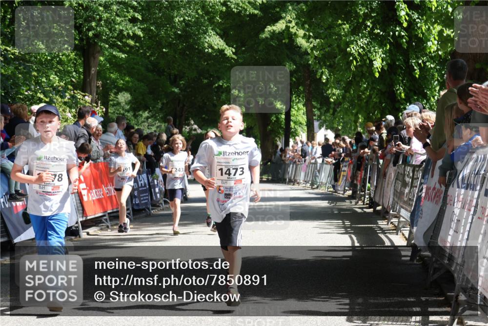 17.05.2025 - Störlauf Strokosch-Dieckow http://msf.ph/oto/7850891 17.05.2025 14:50:21 Ziel 78, 191, 243, 2025, 1473 meine-sportfotos.de