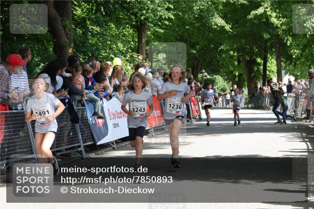 17.05.2025 - Störlauf Strokosch-Dieckow http://msf.ph/oto/7850893 17.05.2025 14:50:24 Ziel 1491, 1243, 1236 meine-sportfotos.de