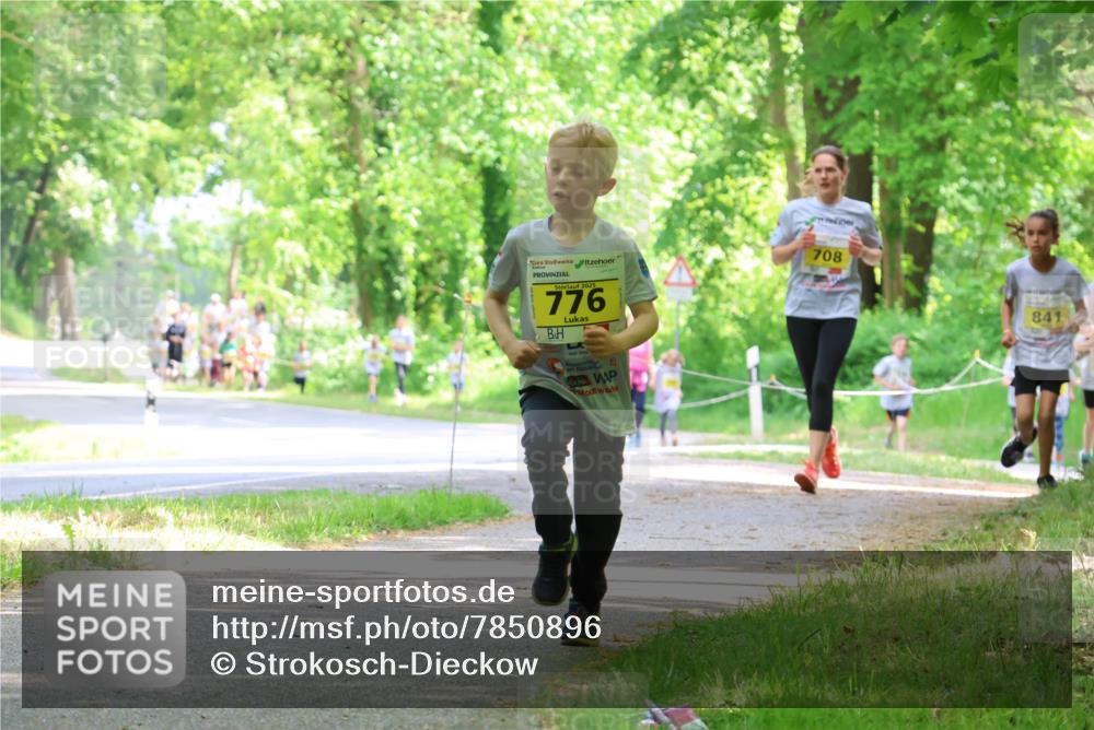 17.05.2025 - Störlauf Strokosch-Dieckow http://msf.ph/oto/7850896 17.05.2025 14:09:54 Laufen 2025, 776, 708, 841 meine-sportfotos.de
