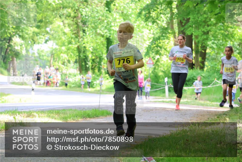 17.05.2025 - Störlauf Strokosch-Dieckow http://msf.ph/oto/7850898 17.05.2025 14:09:54 Laufen 2025, 776, 708, 841 meine-sportfotos.de