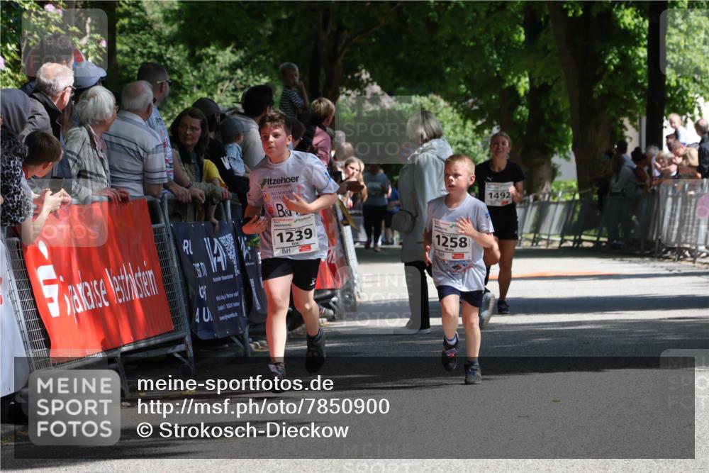 17.05.2025 - Störlauf Strokosch-Dieckow http://msf.ph/oto/7850900 17.05.2025 14:50:27 Ziel 1239, 1258, 25524, 1492 meine-sportfotos.de