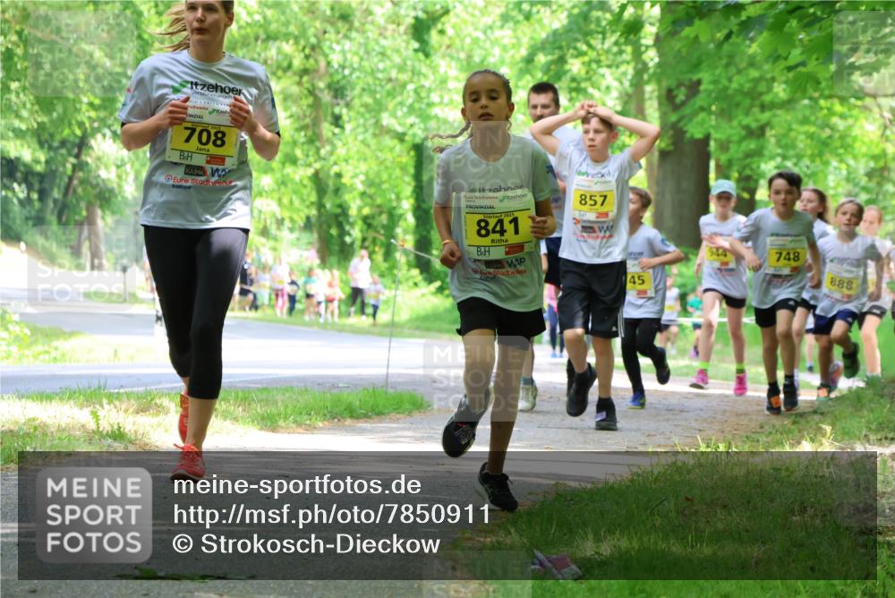 17.05.2025 - Störlauf Strokosch-Dieckow http://msf.ph/oto/7850911 17.05.2025 14:09:59 Laufen 708, 2025, 841, 857, 944, 748, 888, 45 meine-sportfotos.de