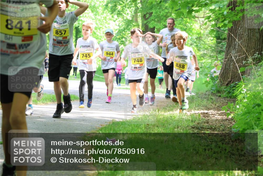 17.05.2025 - Störlauf Strokosch-Dieckow http://msf.ph/oto/7850916 17.05.2025 14:10:01 Laufen 841, 857, 745, 944, 748, 888 meine-sportfotos.de