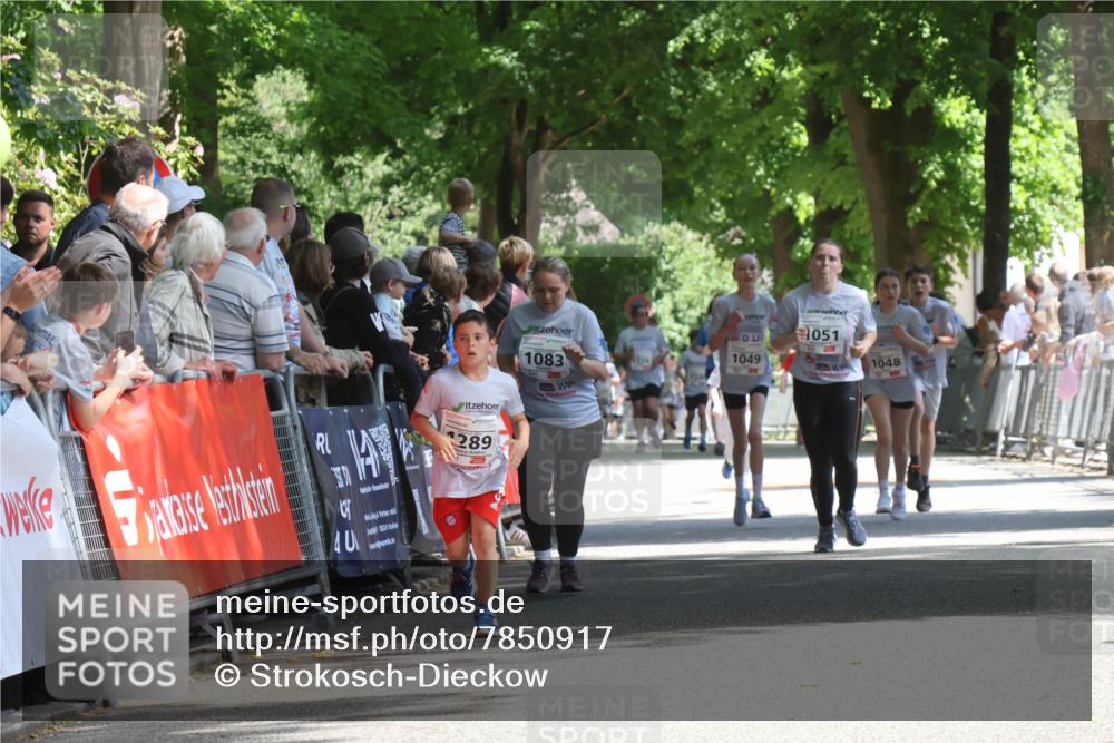 17.05.2025 - Störlauf Strokosch-Dieckow http://msf.ph/oto/7850917 17.05.2025 14:50:44 Ziel 4, 24, 289, 1083, 4276, 051, 1049, 1048 meine-sportfotos.de