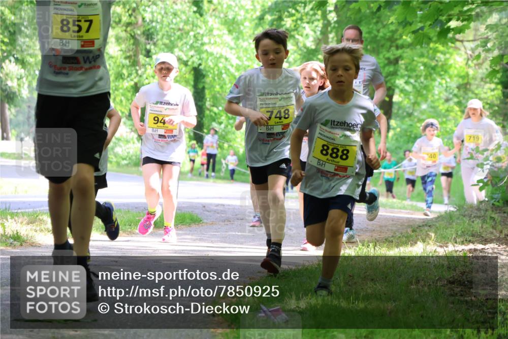 17.05.2025 - Störlauf Strokosch-Dieckow http://msf.ph/oto/7850925 17.05.2025 14:10:03 Laufen 2025, 857, 94, 2025, 748, 2025, 888, 40, 719 meine-sportfotos.de