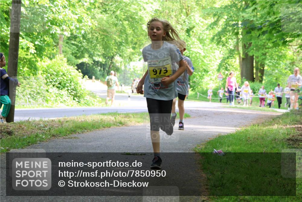 17.05.2025 - Störlauf Strokosch-Dieckow http://msf.ph/oto/7850950 17.05.2025 14:10:13 Laufen 2025, 973 meine-sportfotos.de