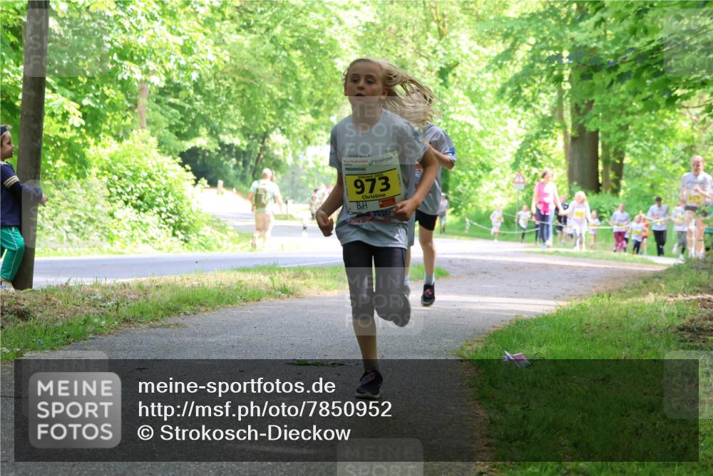 17.05.2025 - Störlauf Strokosch-Dieckow http://msf.ph/oto/7850952 17.05.2025 14:10:13 Laufen 2025, 973, 869 meine-sportfotos.de