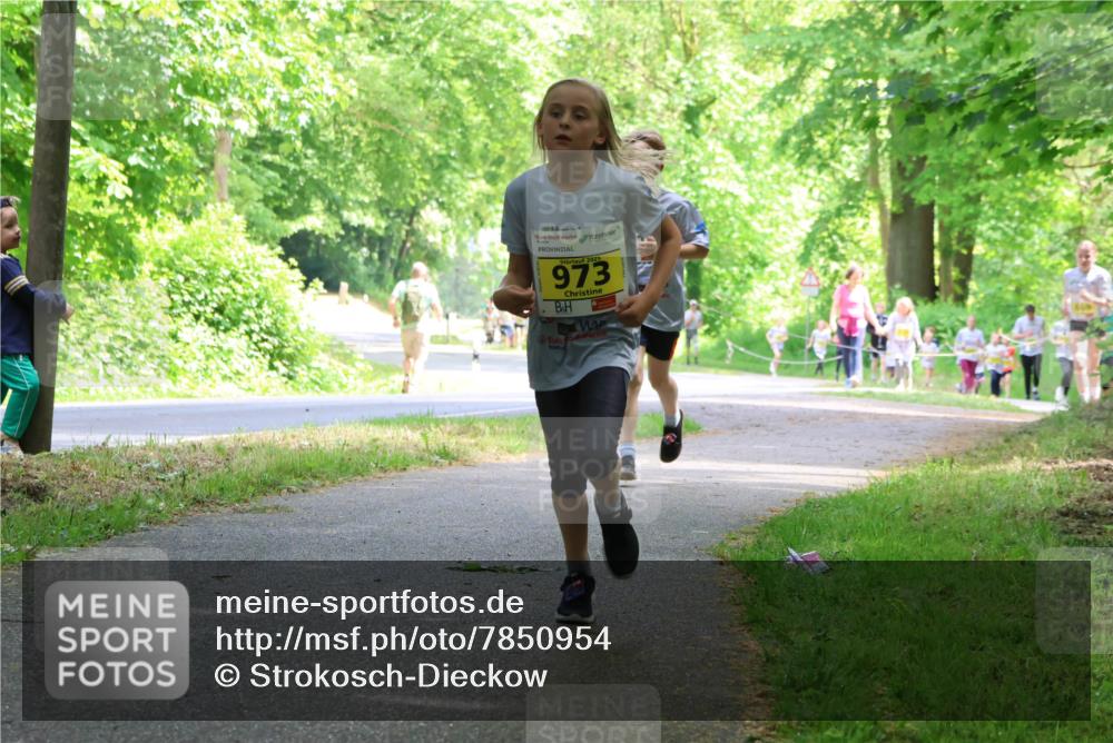 17.05.2025 - Störlauf Strokosch-Dieckow http://msf.ph/oto/7850954 17.05.2025 14:10:13 Laufen 2025, 973 meine-sportfotos.de