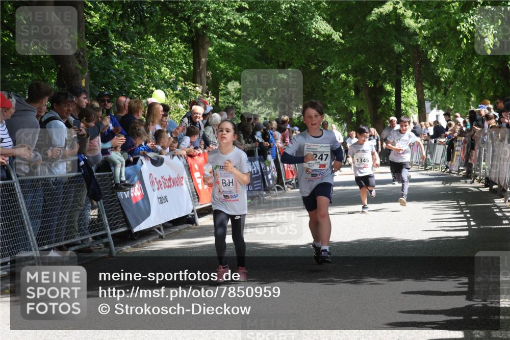 17.05.2025 - Störlauf Strokosch-Dieckow http://msf.ph/oto/7850959 17.05.2025 14:51:16 Ziel 247, 1345 meine-sportfotos.de