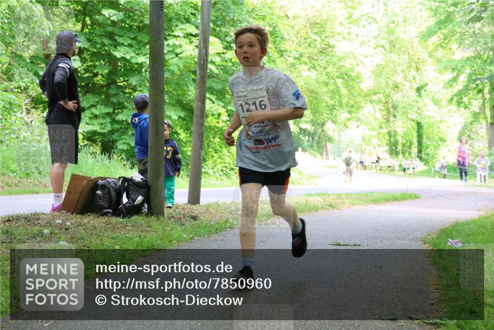 17.05.2025 - Störlauf Strokosch-Dieckow http://msf.ph/oto/7850960 17.05.2025 14:10:16 Laufen 2025, 1216, 25 meine-sportfotos.de