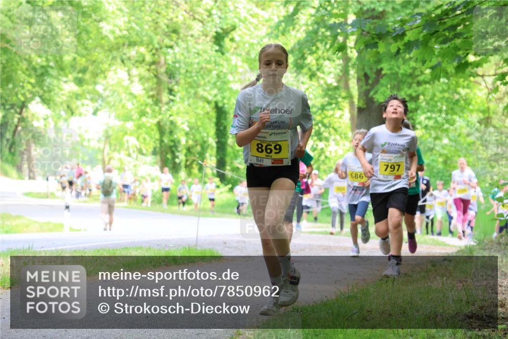 17.05.2025 - Störlauf Strokosch-Dieckow http://msf.ph/oto/7850962 17.05.2025 14:10:19 Laufen 2025, 869, 797, 686 meine-sportfotos.de