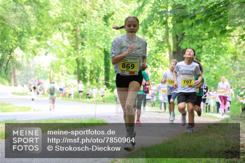17.05.2025 - Störlauf Strokosch-Dieckow http://msf.ph/oto/7850964 17.05.2025 14:10:19 Laufen 2025, 869, 686, 797 meine-sportfotos.de