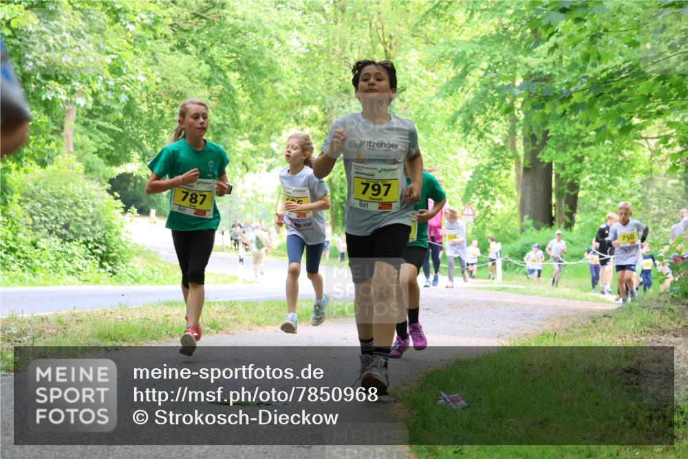 17.05.2025 - Störlauf Strokosch-Dieckow http://msf.ph/oto/7850968 17.05.2025 14:10:22 Laufen 787, 2025, 797, 504, 750 meine-sportfotos.de