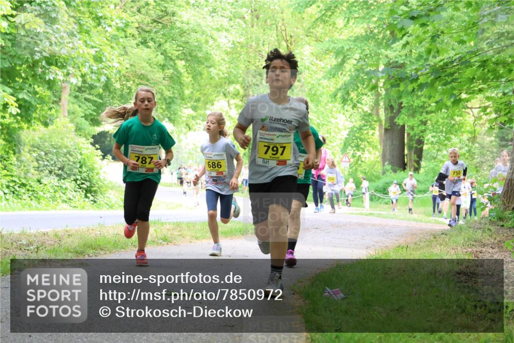 17.05.2025 - Störlauf Strokosch-Dieckow http://msf.ph/oto/7850972 17.05.2025 14:10:22 Laufen 787, 686, 2025, 797, 750, 904 meine-sportfotos.de
