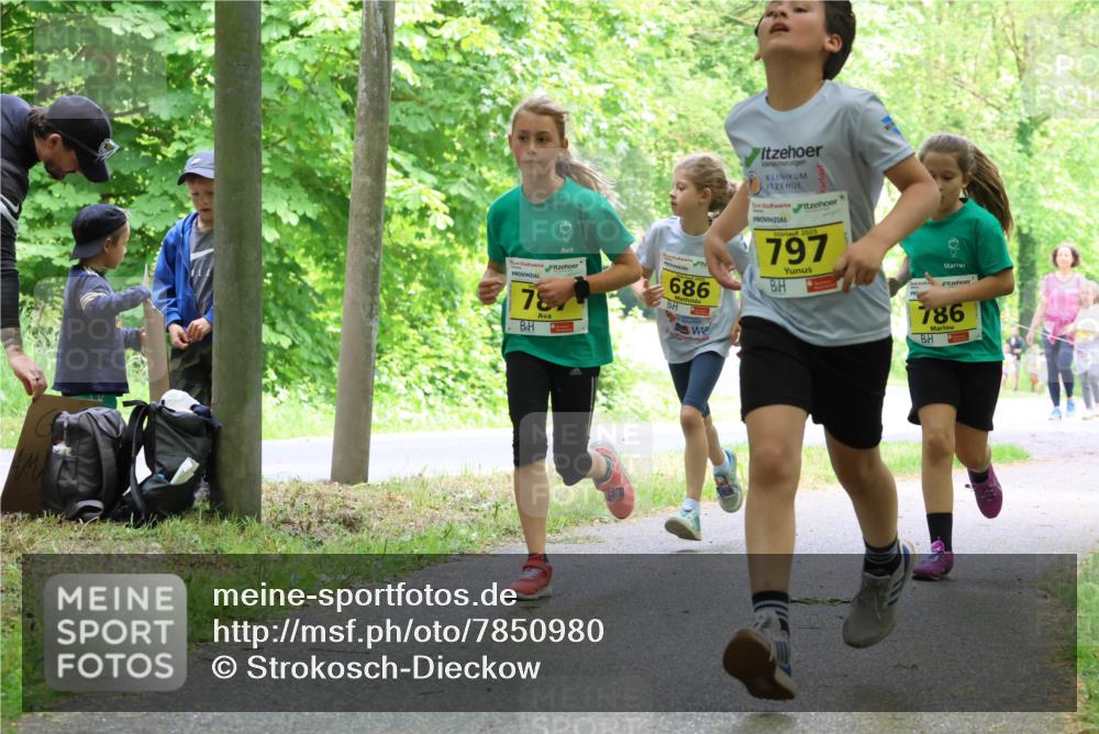 17.05.2025 - Störlauf Strokosch-Dieckow http://msf.ph/oto/7850980 17.05.2025 14:10:23 Laufen 78, 686, 2025, 797, 786 meine-sportfotos.de