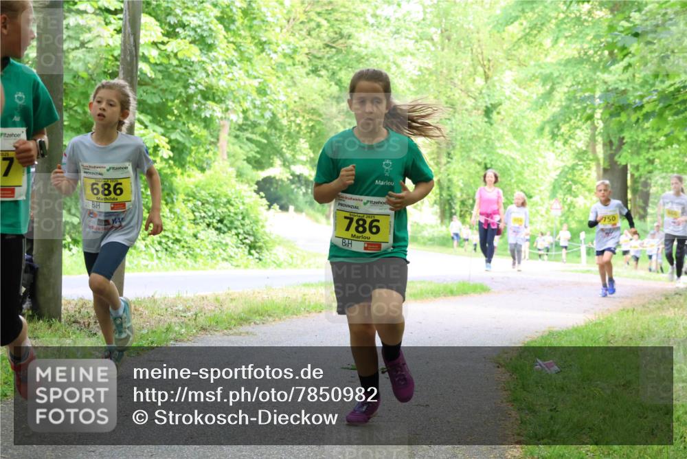 17.05.2025 - Störlauf Strokosch-Dieckow http://msf.ph/oto/7850982 17.05.2025 14:10:24 Laufen 2025, 7, 2025, 686, 2025, 786, 750 meine-sportfotos.de