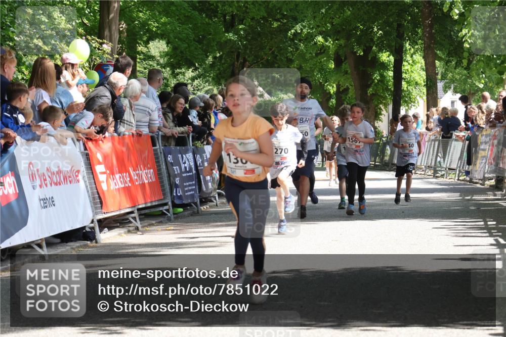 17.05.2025 - Störlauf Strokosch-Dieckow http://msf.ph/oto/7851022 17.05.2025 14:52:00 Ziel 130, 270, 50, 156, 40 meine-sportfotos.de