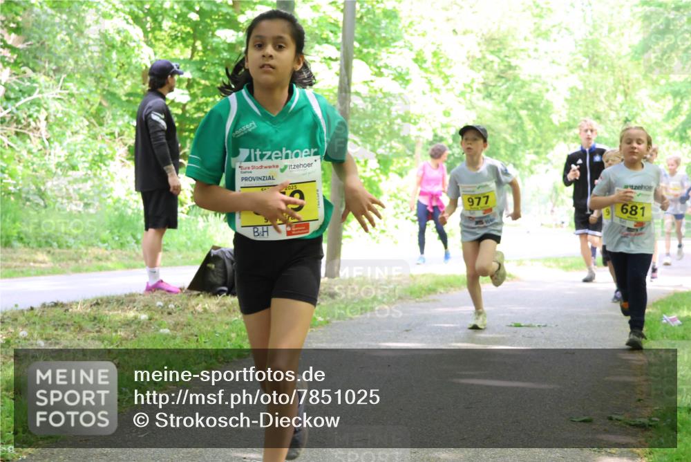 17.05.2025 - Störlauf Strokosch-Dieckow http://msf.ph/oto/7851025 17.05.2025 14:10:36 Laufen 2025, 977, 681 meine-sportfotos.de