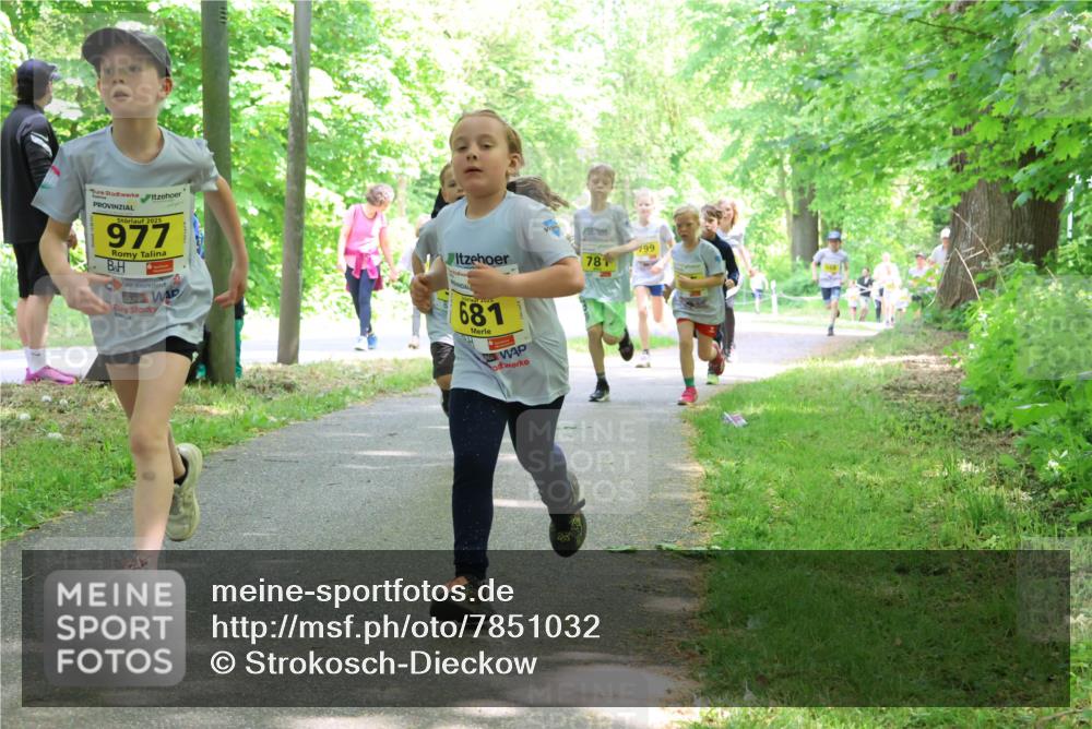 17.05.2025 - Störlauf Strokosch-Dieckow http://msf.ph/oto/7851032 17.05.2025 14:10:37 Laufen 2025, 977, 681, 799, 781 meine-sportfotos.de