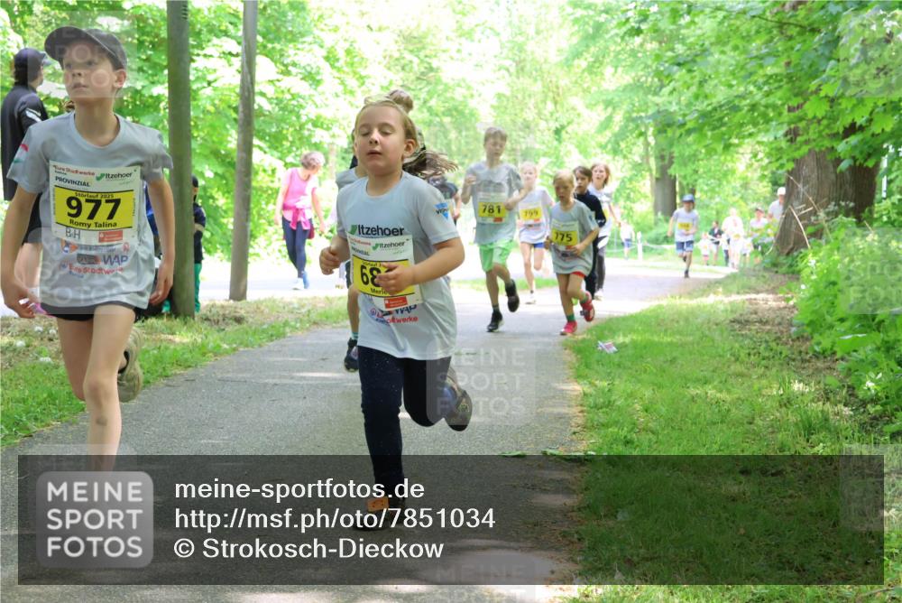 17.05.2025 - Störlauf Strokosch-Dieckow http://msf.ph/oto/7851034 17.05.2025 14:10:37 Laufen 2025, 977, 68, 781, 799, 775 meine-sportfotos.de