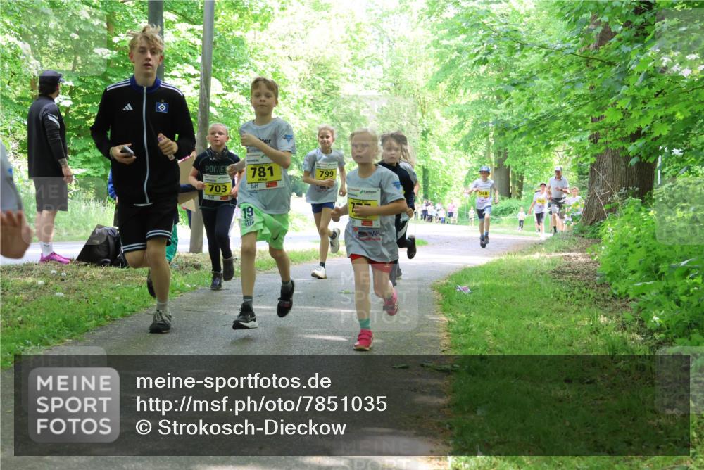 17.05.2025 - Störlauf Strokosch-Dieckow http://msf.ph/oto/7851035 17.05.2025 14:10:39 Laufen 703, 19, 781, 799, 948 meine-sportfotos.de