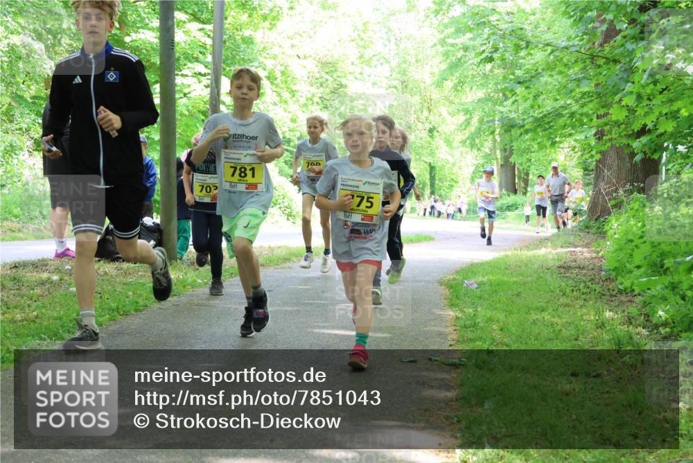 17.05.2025 - Störlauf Strokosch-Dieckow http://msf.ph/oto/7851043 17.05.2025 14:10:39 Laufen 70, 781, 700, 275 meine-sportfotos.de