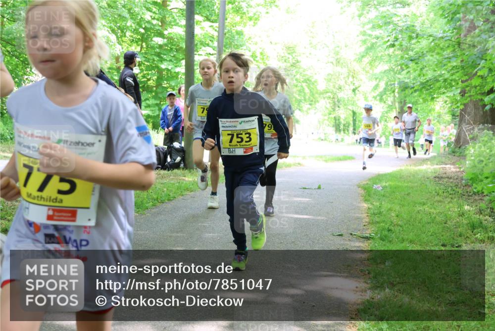 17.05.2025 - Störlauf Strokosch-Dieckow http://msf.ph/oto/7851047 17.05.2025 14:10:41 Laufen 775, 79, 753, 948 meine-sportfotos.de
