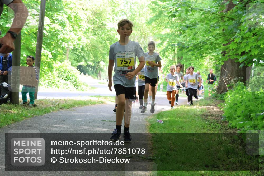 17.05.2025 - Störlauf Strokosch-Dieckow http://msf.ph/oto/7851078 17.05.2025 14:10:49 Laufen 2025, 757, 956, 738 meine-sportfotos.de