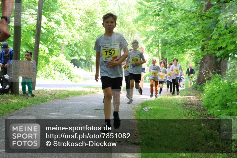 17.05.2025 - Störlauf Strokosch-Dieckow http://msf.ph/oto/7851082 17.05.2025 14:10:49 Laufen 757, 938, 95, 238, 941, 743 meine-sportfotos.de