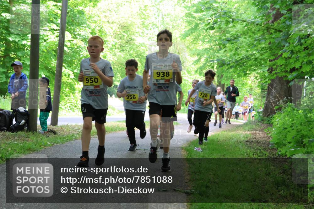 17.05.2025 - Störlauf Strokosch-Dieckow http://msf.ph/oto/7851088 17.05.2025 14:10:51 Laufen 950, 938, 956, 738, 74 meine-sportfotos.de