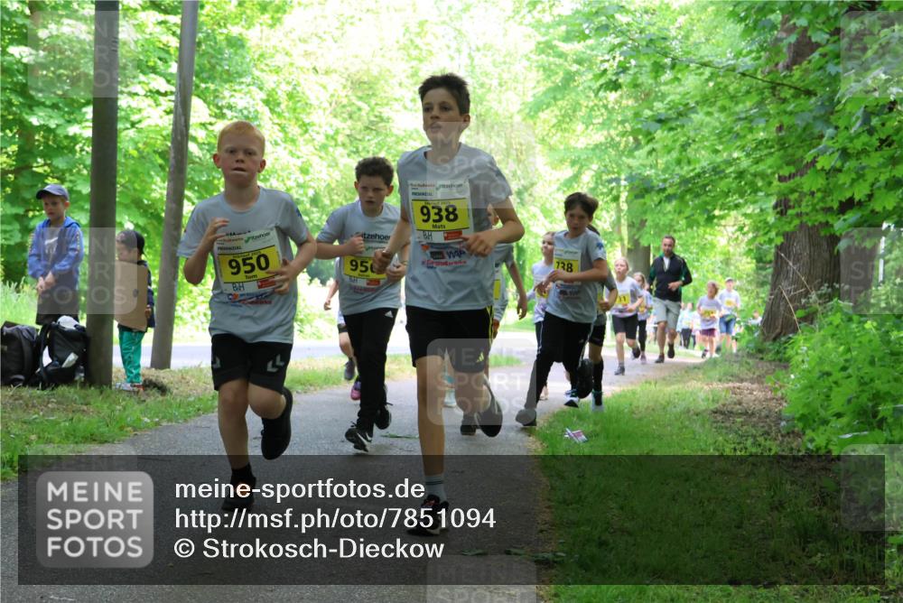 17.05.2025 - Störlauf Strokosch-Dieckow http://msf.ph/oto/7851094 17.05.2025 14:10:51 Laufen 111444, 202, 950, 950, 938, 728 meine-sportfotos.de