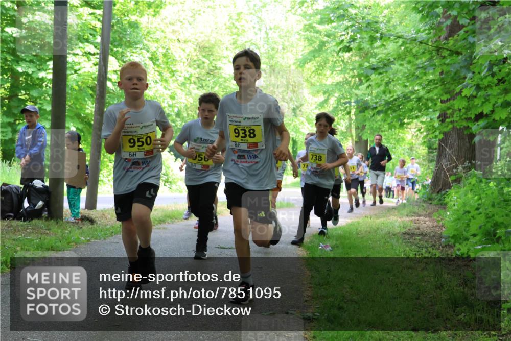 17.05.2025 - Störlauf Strokosch-Dieckow http://msf.ph/oto/7851095 17.05.2025 14:10:51 Laufen 2025, 950, 056, 2025, 938, 74, 738 meine-sportfotos.de