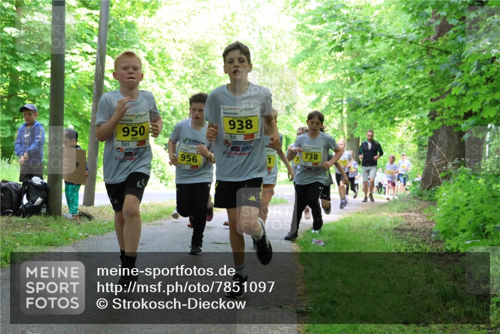 17.05.2025 - Störlauf Strokosch-Dieckow http://msf.ph/oto/7851097 17.05.2025 14:10:51 Laufen 2025, 950, 956, 2025, 938, 738 meine-sportfotos.de