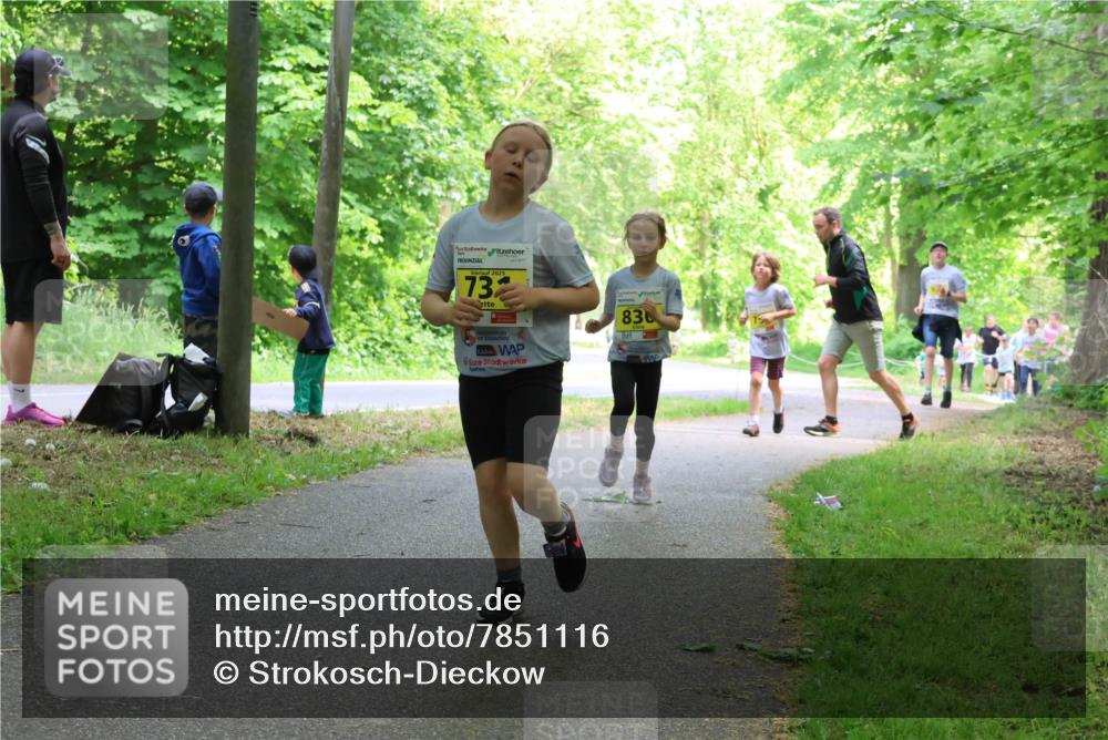 17.05.2025 - Störlauf Strokosch-Dieckow http://msf.ph/oto/7851116 17.05.2025 14:10:57 Laufen 2025, 73, 836 meine-sportfotos.de