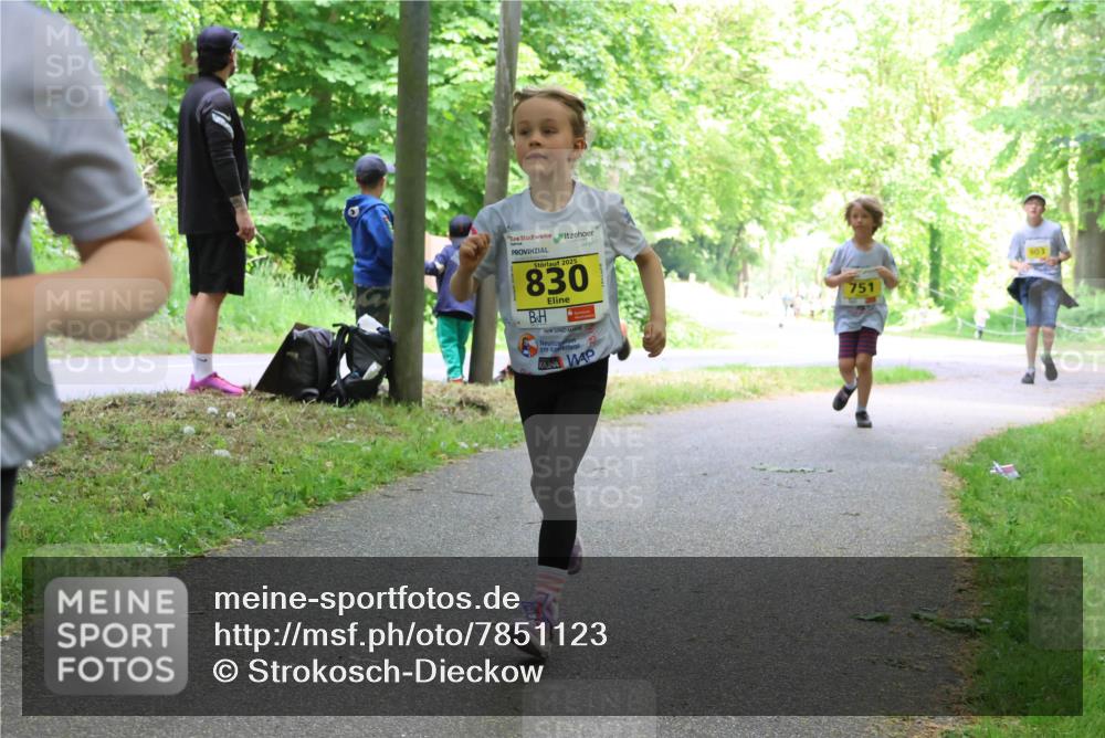 17.05.2025 - Störlauf Strokosch-Dieckow http://msf.ph/oto/7851123 17.05.2025 14:10:58 Laufen 2025, 830, 751, 903 meine-sportfotos.de