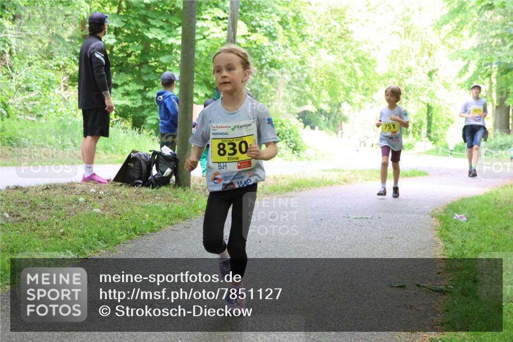 17.05.2025 - Störlauf Strokosch-Dieckow http://msf.ph/oto/7851127 17.05.2025 14:10:59 Laufen 2025, 830, 54, 751, 903 meine-sportfotos.de