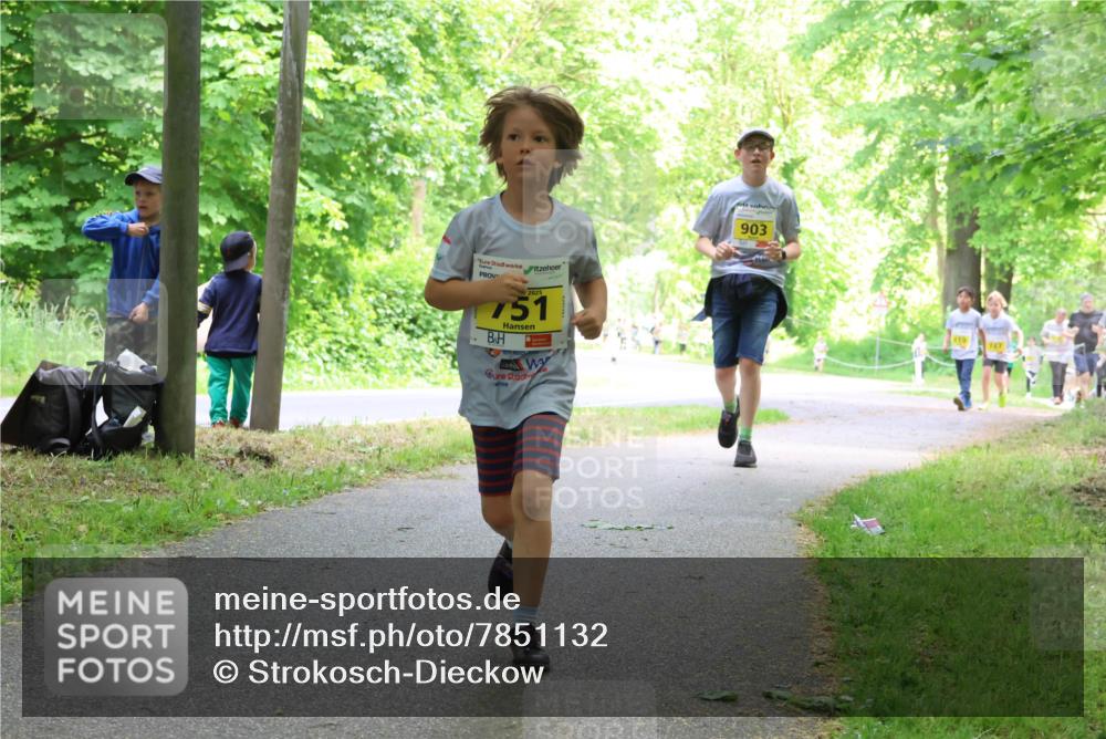 17.05.2025 - Störlauf Strokosch-Dieckow http://msf.ph/oto/7851132 17.05.2025 14:11:02 Laufen 2025, 751, 903, 747 meine-sportfotos.de