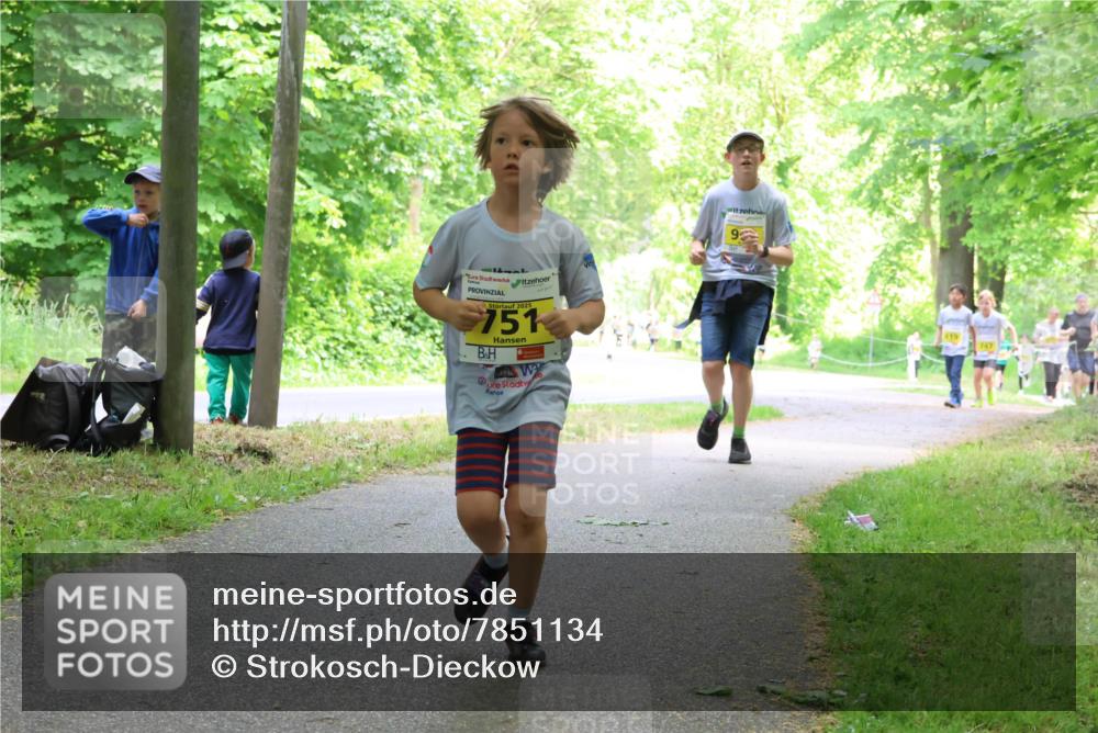 17.05.2025 - Störlauf Strokosch-Dieckow http://msf.ph/oto/7851134 17.05.2025 14:11:02 Laufen 2025, 751, 9, 747 meine-sportfotos.de